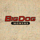 Big Dog